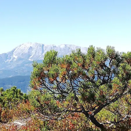 Σπίτι διακοπών Sonnberg *